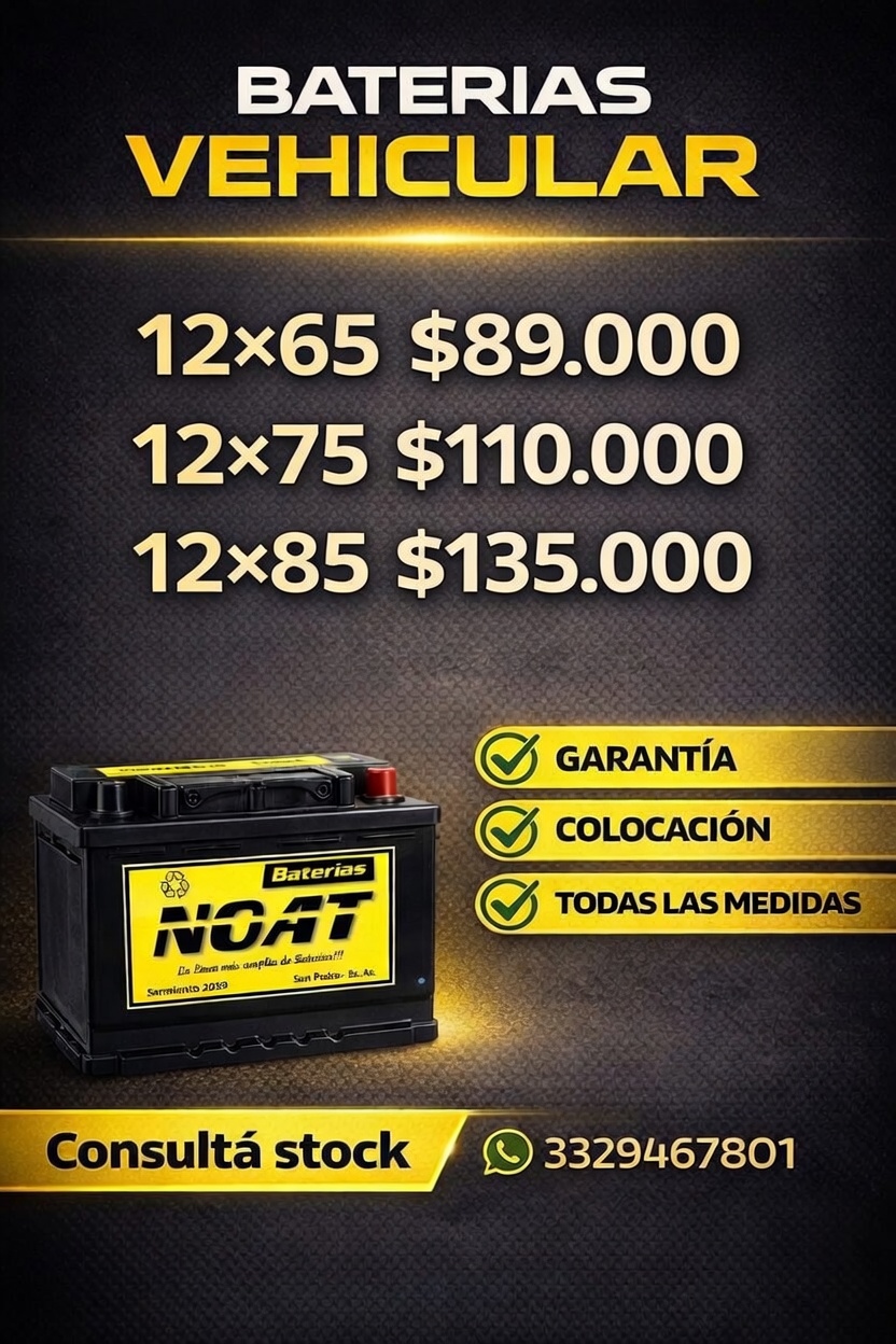 Baterías vehiculares NOAT precios